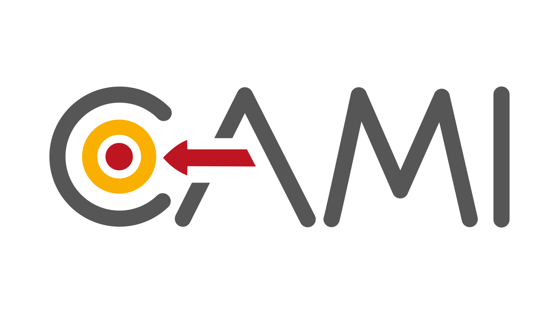 cami labex