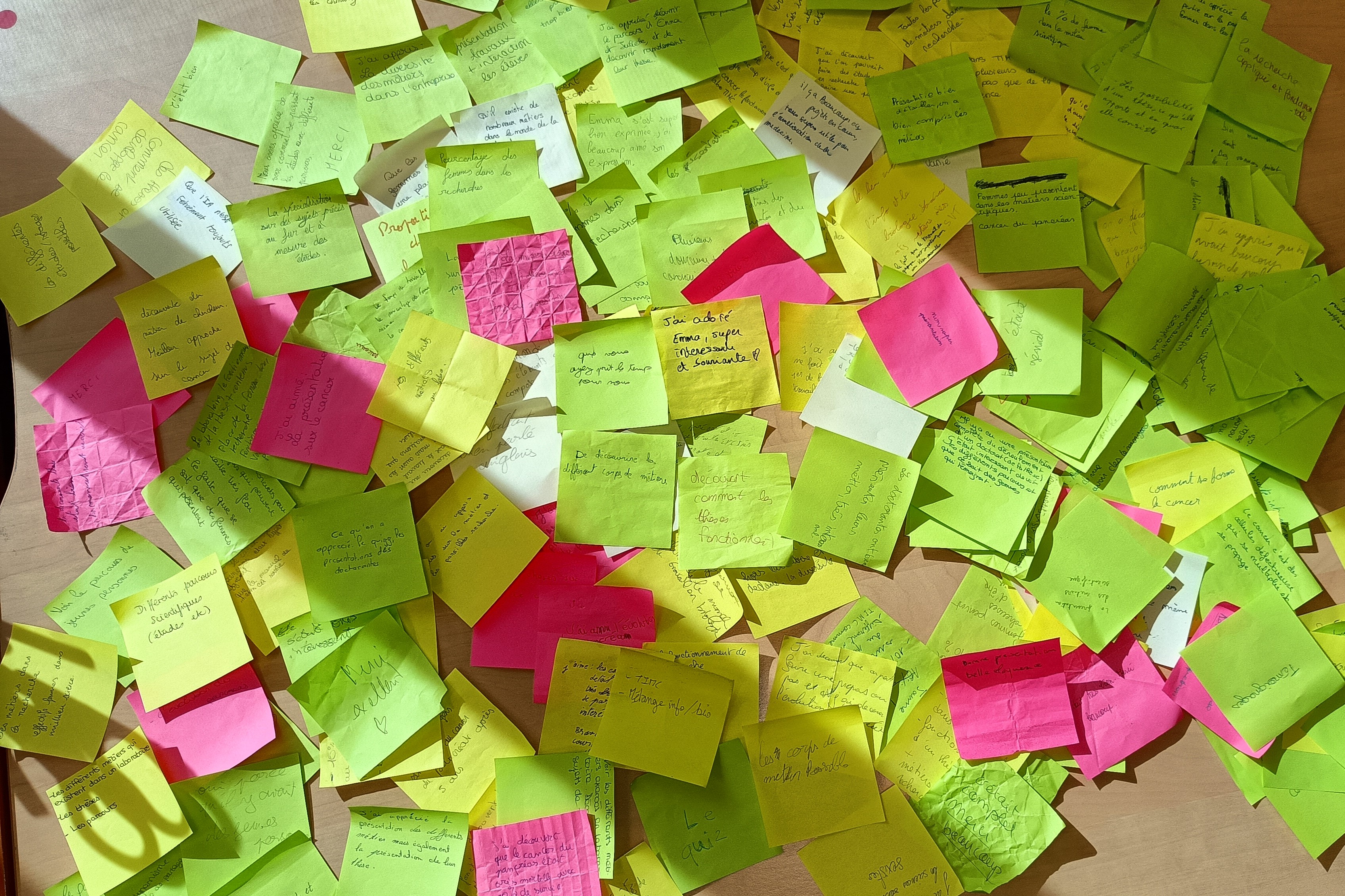 Visite Champollion, postits