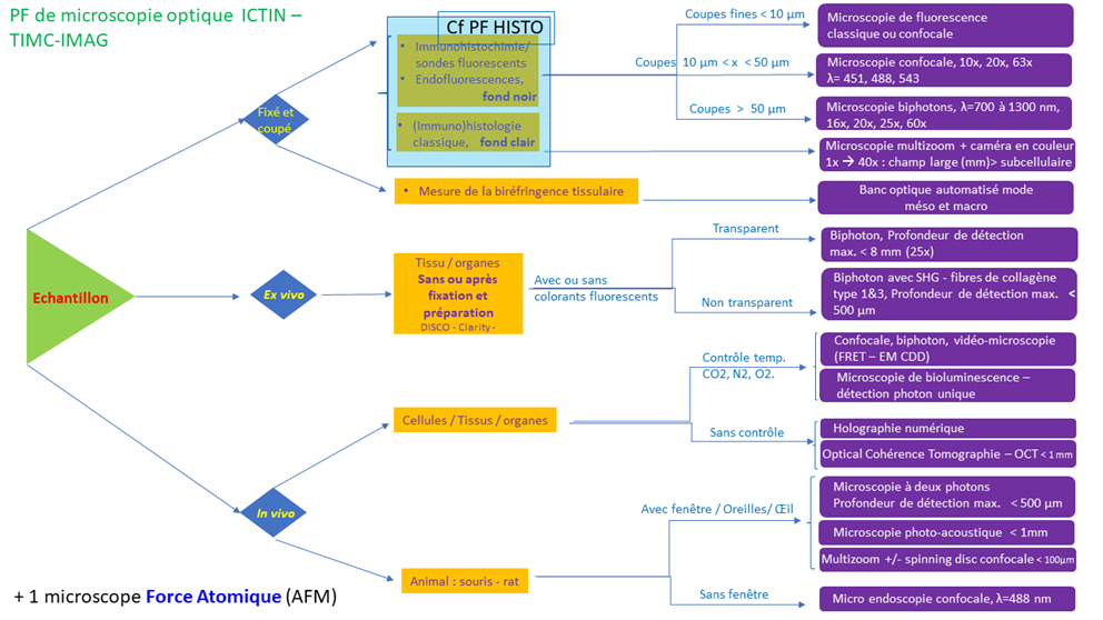 Choix microscopie