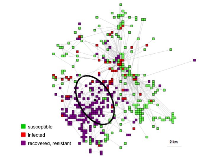 Epizooty spreading in a heterogeneous network of epidemiological units