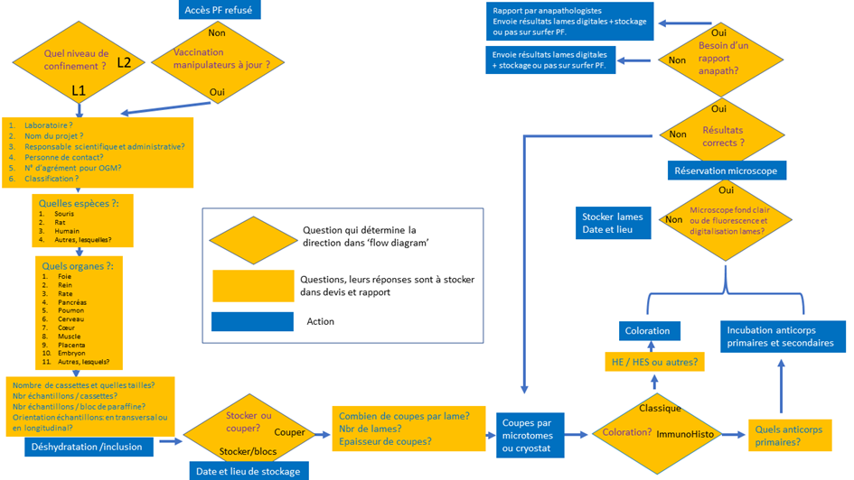 histologie processus