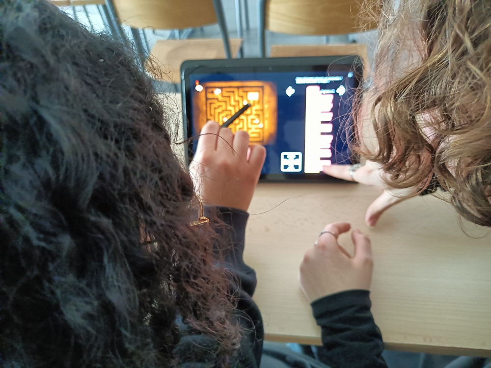 Laboratoire TIMC Lycée Triboulet